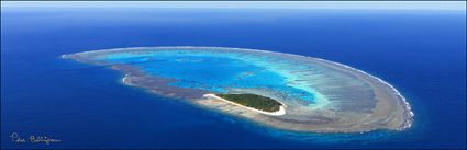 Lady Musgrave Island - QLD (PBH4 00 18365)